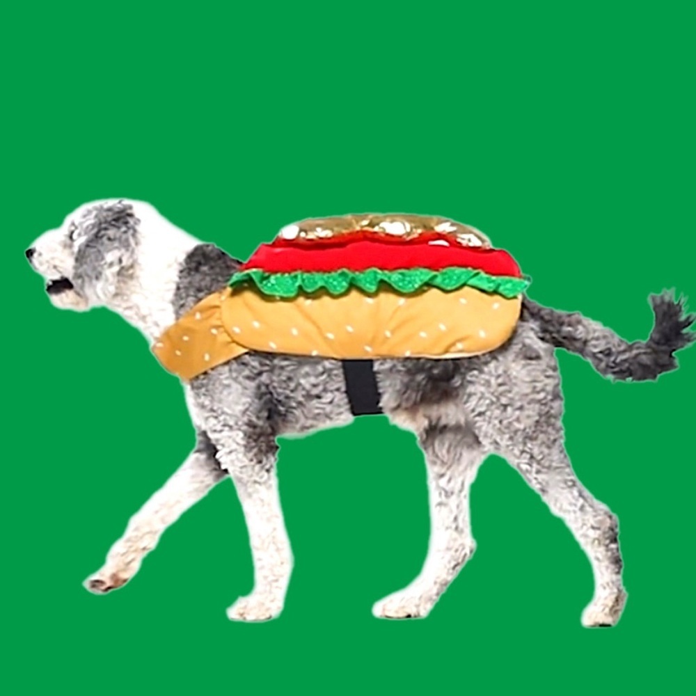 PET HOTDOG COSTUME NWT - Picture 5 of 12